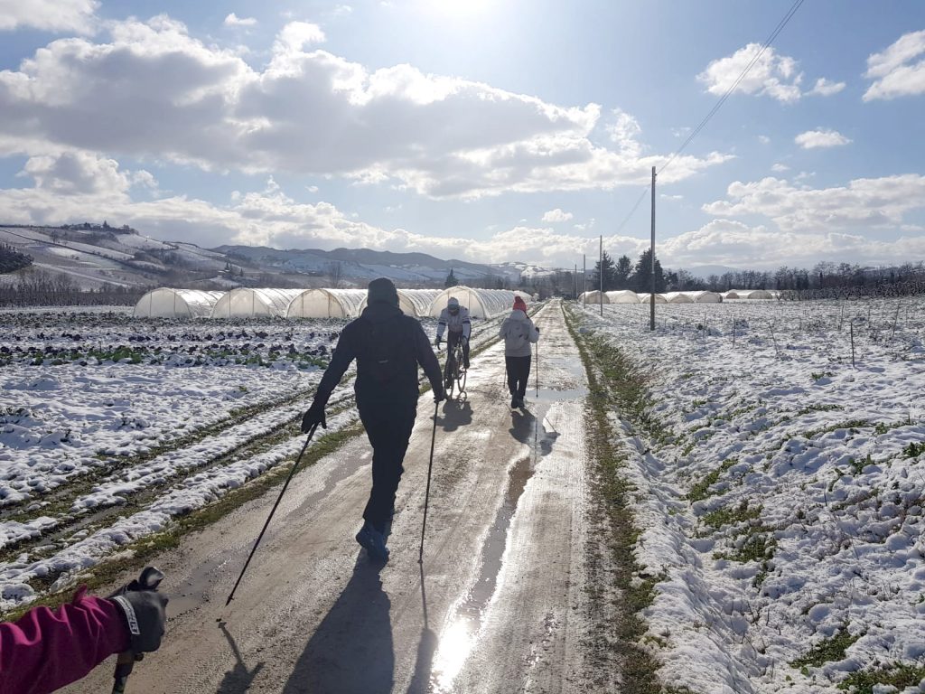 Nordic-Walking-invernale
