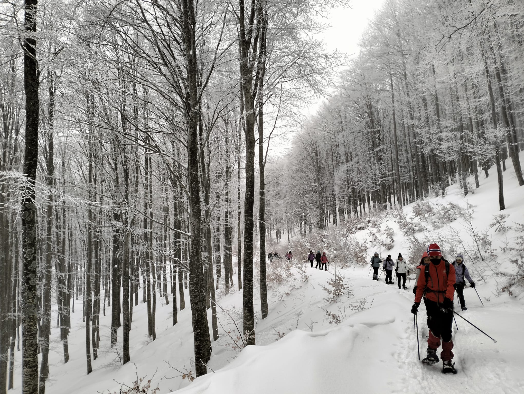 Nordic Walking sulla neve